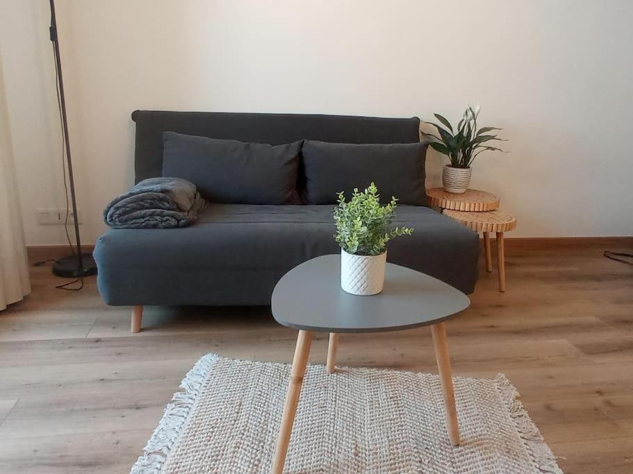 A 50 M De La Plage, Appartement De 35 M2 : Les Pieds Sales Bréhal المظهر الخارجي الصورة